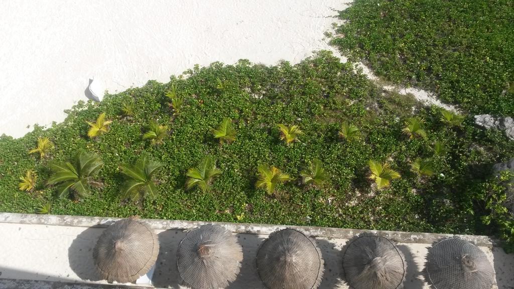 Apartment Cancún Cameră foto